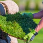 Landscaping: The Best Idea You’ve Ever Had