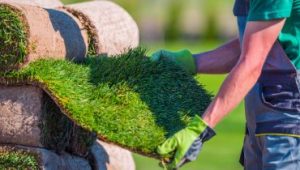 Read more about the article Landscaping: The Best Idea You’ve Ever Had