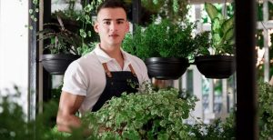 Read more about the article Why We Should Choose The Gardenhub?