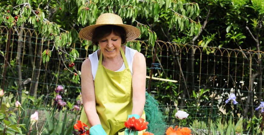 Read more about the article 3 Reasons To Build A Backyard Fire Pit